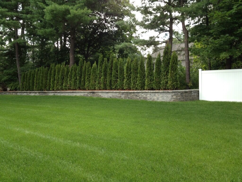 Privacy Hedge, Lush Green Grass, Techo Block Wall